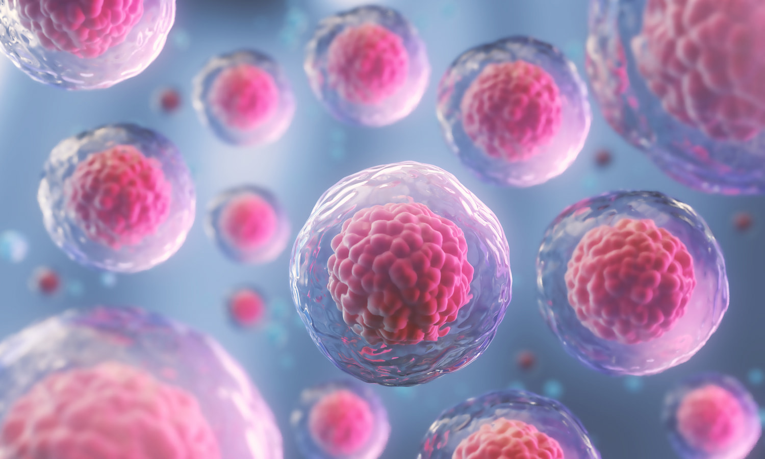 Microscopic transparent cells